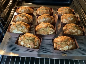 Mini-cakes au levain dans moules en carton 