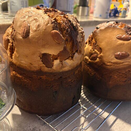 Panettone