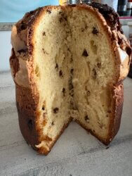 Panettone