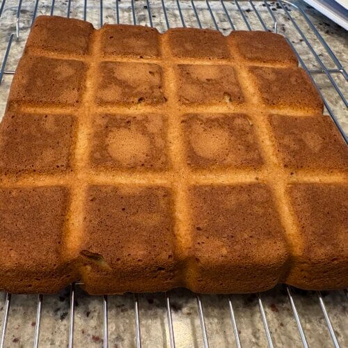 gâteau aux noisettes
