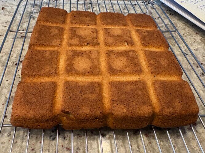 gâteau aux noisettes